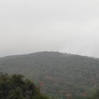 landscape photograph of the Blue Ridge Mountains covered in fog--there is a gray sky, and the mountains are dotted with autumn foliage
