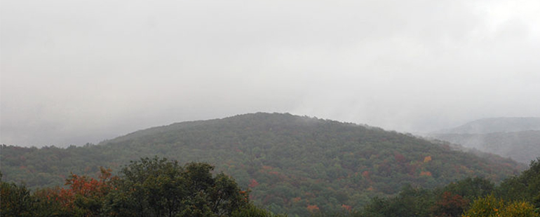 landscape photograph of the Blue Ridge Mountains covered in fog--there is a gray sky, and the mountains are dotted with autumn foliage