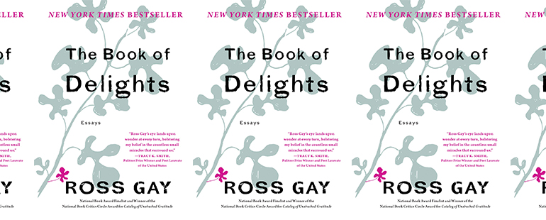 side by side series of the cover of Ross Gay's Book of Delights