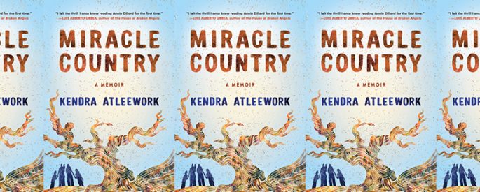 the book cover for Miracle Country