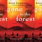 side by side series of the cover of Gone to the Forest by Katie Kitamura