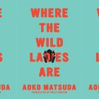 side by side series of the cover of Where the Wild Ladies Are