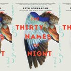 side by side series of the cover of Thirty Names of Night