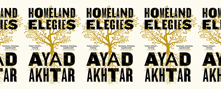 the book cover for Homeland Elegies