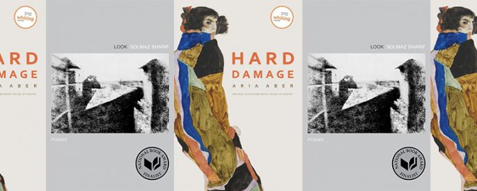 side by side series of the covers of Aber's Hard Damage and Sharif's Look