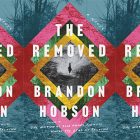 side by side series of the cover of The Removed