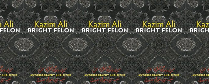 side by side series of the cover of Bright Felon