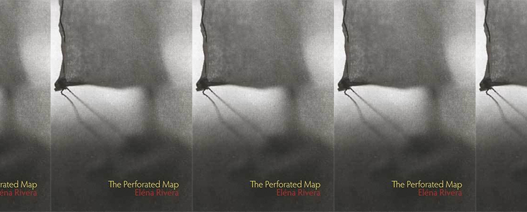 cover of Perforated Map side by side