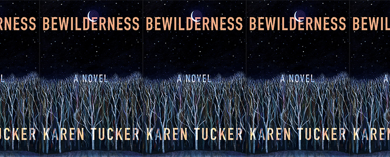 side by side series of the cover of Bewilderness