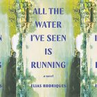 cover of All the water I've Seen is Running in a side by side series