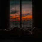 image of a crumpled bed sheet in front of a a window--the sun is rising outside