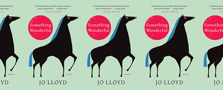 cover of Lloyd's Something Wonderful