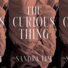 side by side series of the cover of The Curious Thing by Sandra Lim