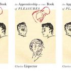 side by side series of the cover of an apprenticeship or the book of pleasures