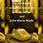 side by side series of the cover of telephone
