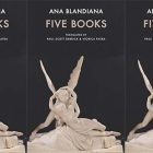 side by side series of the cover fo five books