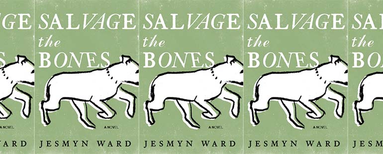 side by side series of the cover of salvage the bones