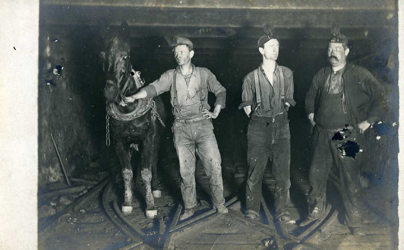 black and white vintage photograph of three coal miners and a mule in a mine shaft
