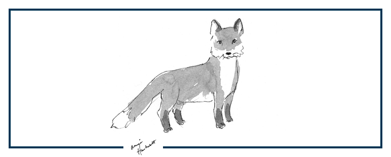 a black and white drawing of a fox by Annie Hartnett
