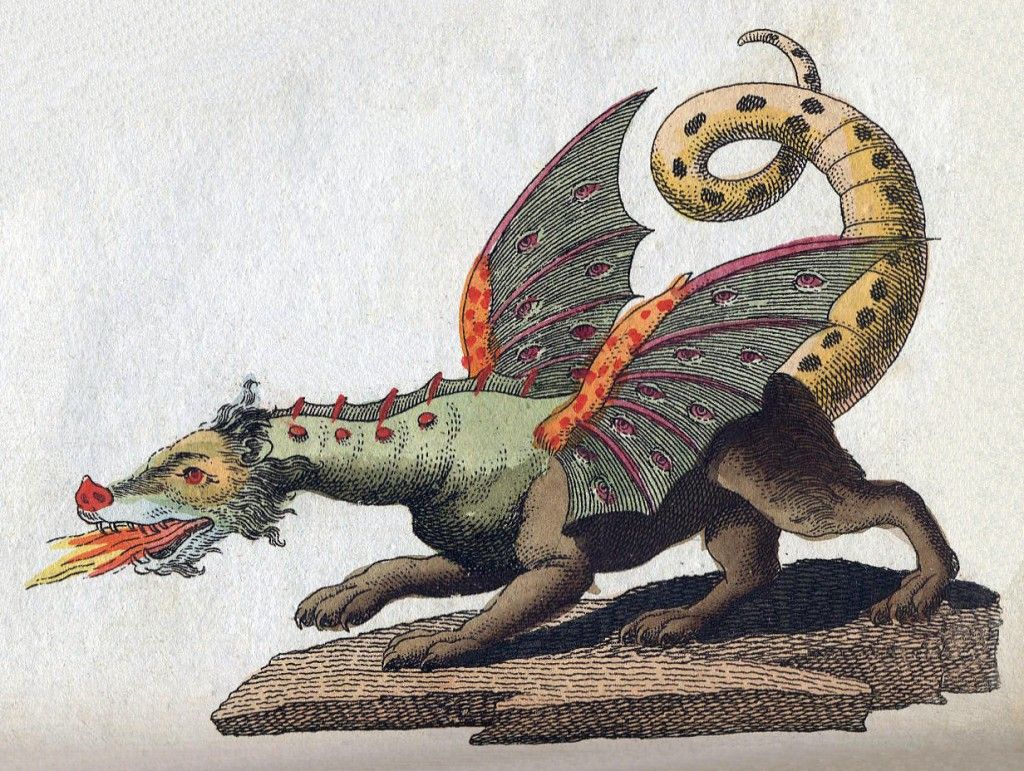 an illustration of a dragon breathing fire