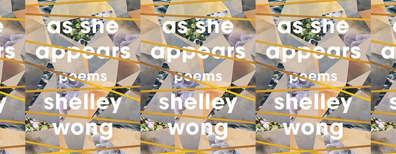 the book cover for As She Appears, featured a very fragmented image with pastels and earth tones