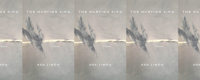 the book cover for The Hurting Kind, featuring an ethereal painting of a bird diving in the sky