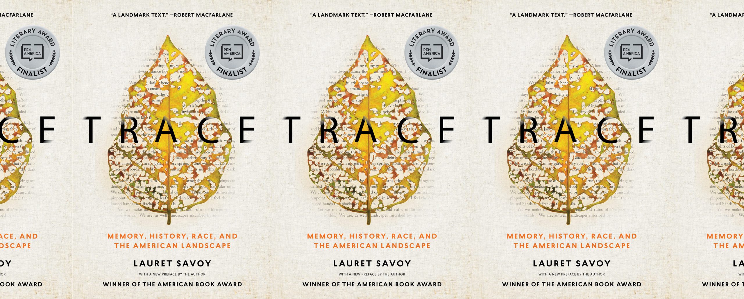 the book cover for Trace, featuring a golden leaf