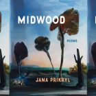 the book cover for Midwood, featuring a painting of two people sitting under very tall trees
