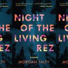 the book cover for Night of the Living Rez, featuring a starry night sky above night-black trees