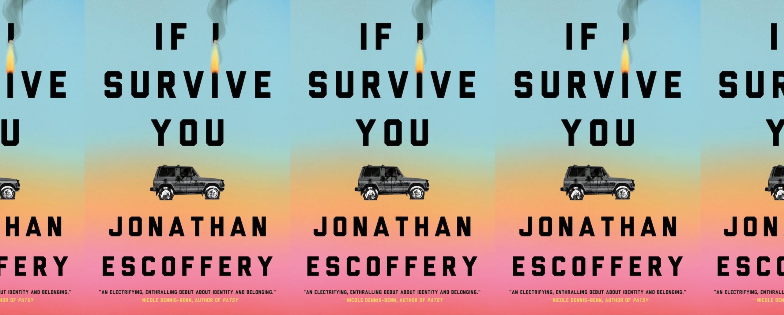 the book cover for If I Survive You