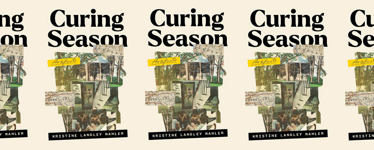the book cover for Curing Season
