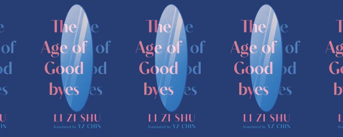 the book cover for The Age of Goodbyes