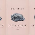 the book cover for The Idiot, featuring a pink background and an image of a rock