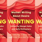 the book cover for Wanting