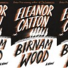 the book cover for Birnam Wood