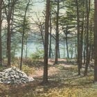 landscape at Walden Pond