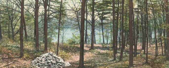 landscape at Walden Pond